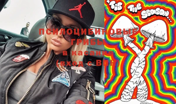 бошки Алзамай