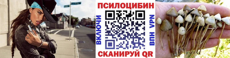 дарнет шоп  Карачев  darknet телеграм  Псилоцибиновые грибы ЛСД 