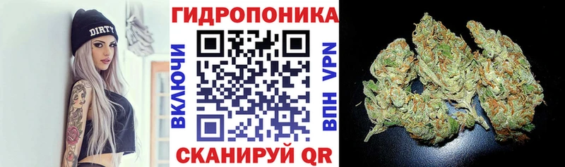 hydra ONION Карачев Бошки Шишки гибрид что такое наркотик